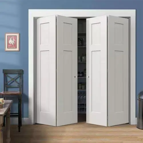 Folding Door
